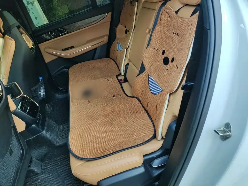 Lynk & Co Lynk & Co 09 EM-P 2021 2.0T PHEV Ultra 7-Seater — Фото автомобиля 13