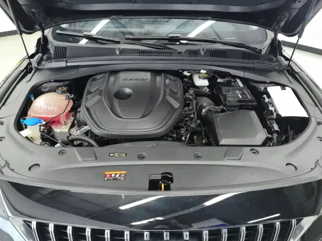 Geely Xingrui — Фото автомобиля 10