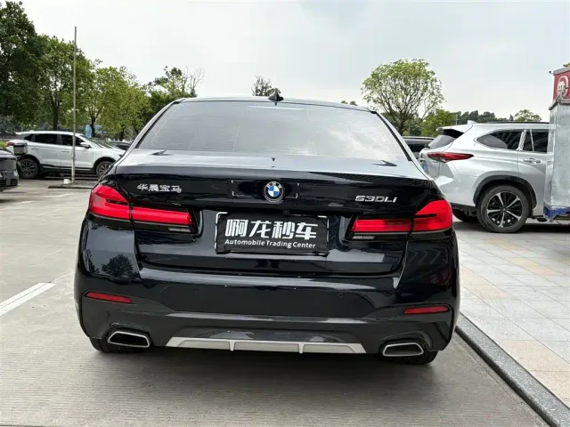 BMW BMW 5 Series 2022 Facelift II 530Li Premium Package M Sport — Фото автомобиля 8
