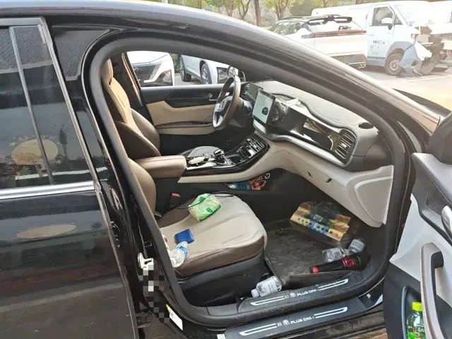 BYD Qin PLUS — Фото автомобиля 19