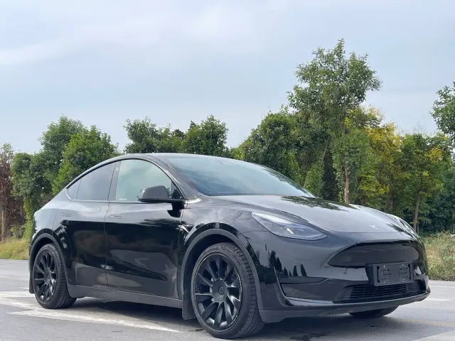 Tesla Model Y — Фото автомобиля 3