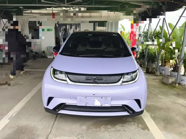 BYD Dolphin — Фото автомобиля 2