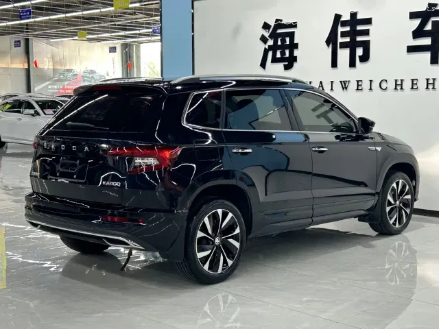 Skoda Karoq — Фото автомобиля 12