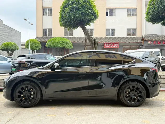 Tesla Model Y — Фото автомобиля 4