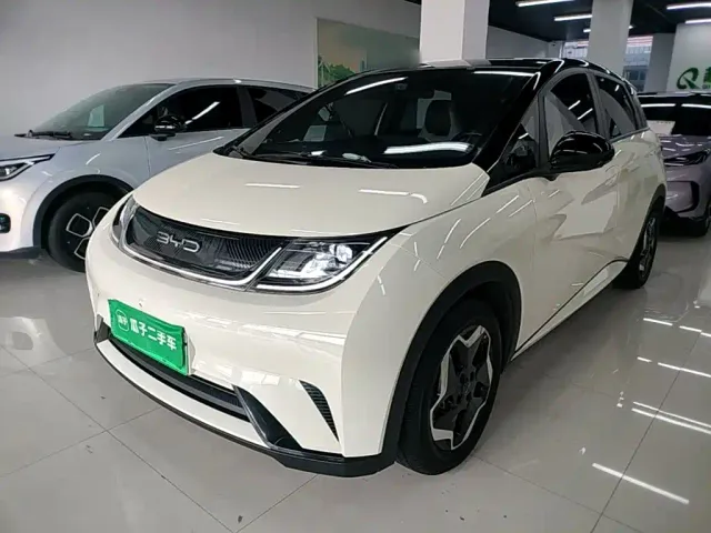 Фотография автомобиля — BYD Dolphin