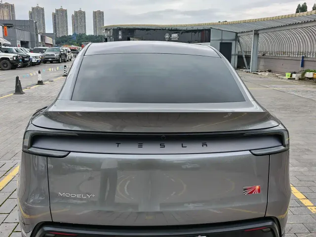 Tesla Model Y — Фото автомобиля 10