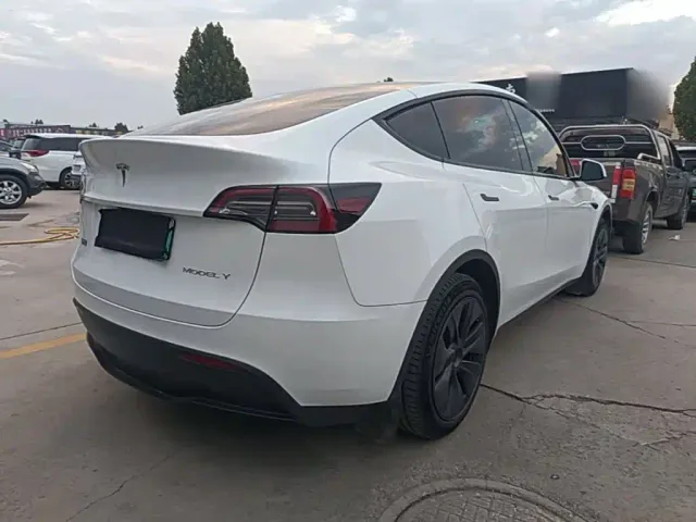 Tesla Model Y — Фото автомобиля 6