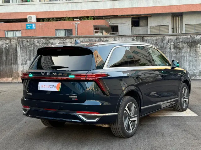Wey Lanshan — Фото автомобиля 13