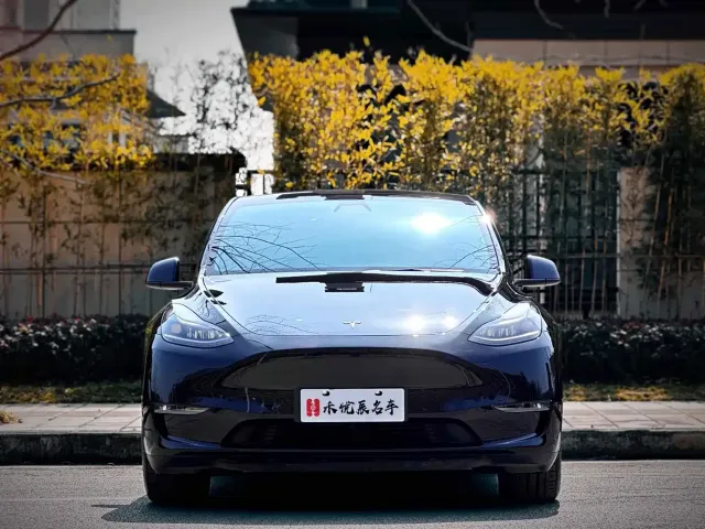 Tesla Model Y — Фото автомобиля 2