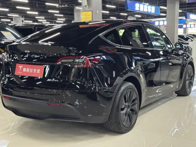 Tesla Model Y — Фото автомобиля 9