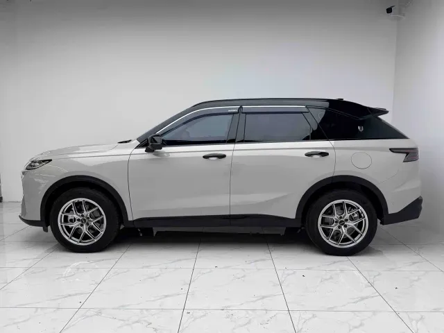 Haval Xiaolong MAX — Фото автомобиля 16