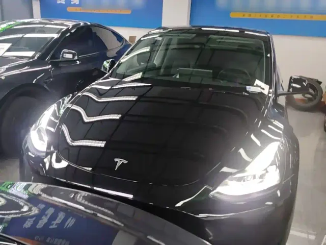 Tesla Model Y — Фото автомобиля 2