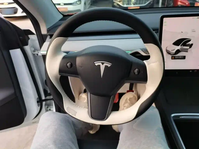 Tesla Model Y — Фото автомобиля 10
