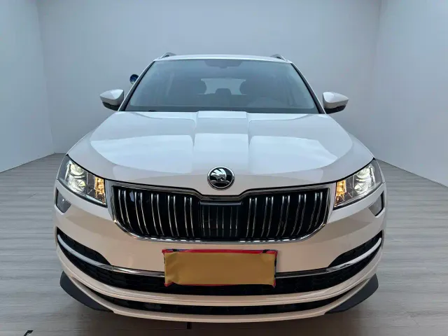 Skoda Karoq — Фото автомобиля 6