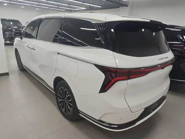 Forthing Xinghai V9 — Фото автомобиля 4