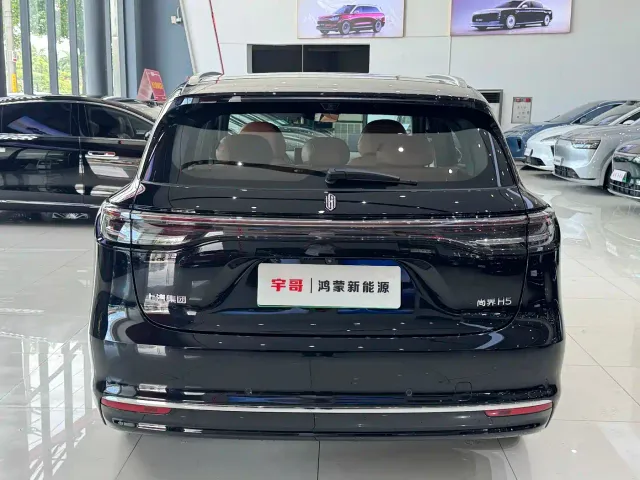 Shangjie SUV — Фото автомобиля 16