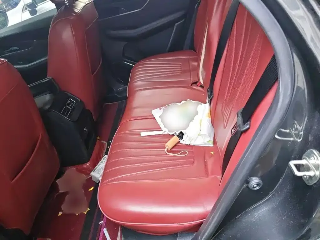 Dongfeng Fengxing Fengxing T5 EVO 2021 Model 1.5TD DCT Starlight Edition Heatwave — Фото автомобиля 14