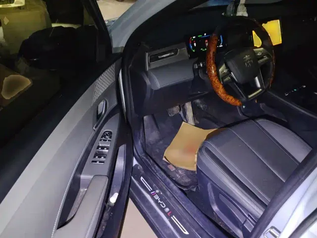 BYD Qin PLUS — Фото автомобиля 17