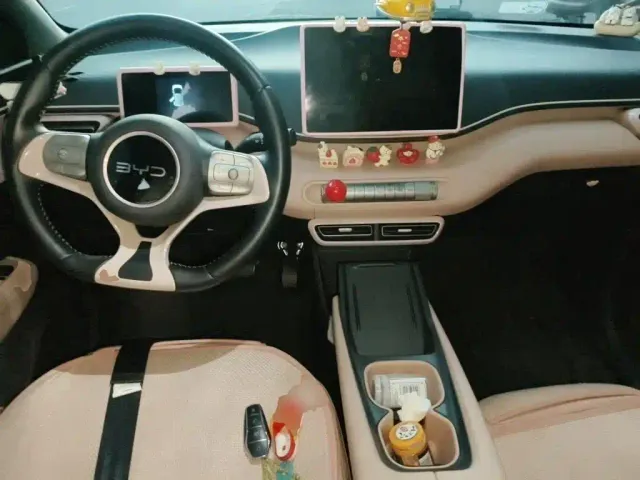 BYD Seagull — Фото автомобиля 5