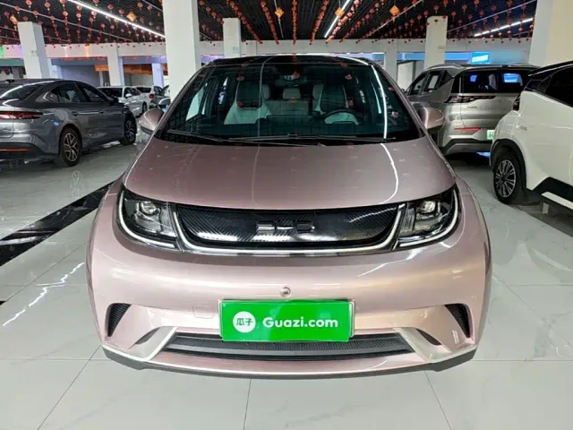 BYD Dolphin — Фото автомобиля 2