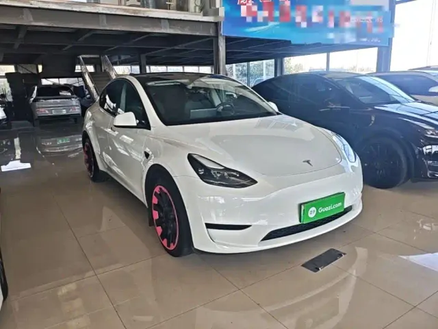 Tesla Model Y — Фото автомобиля 3