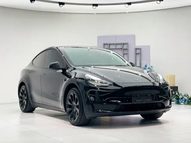 Tesla Model Y — Фото автомобиля 3