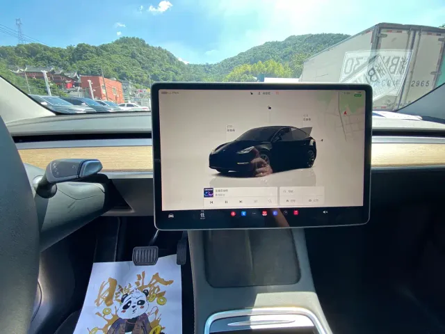 Tesla Model Y — Фото автомобиля 9