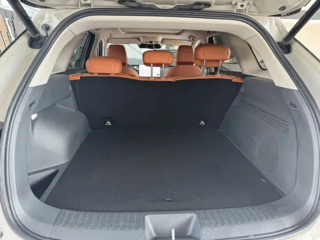 Haval Xiaolong MAX — Фото автомобиля 10