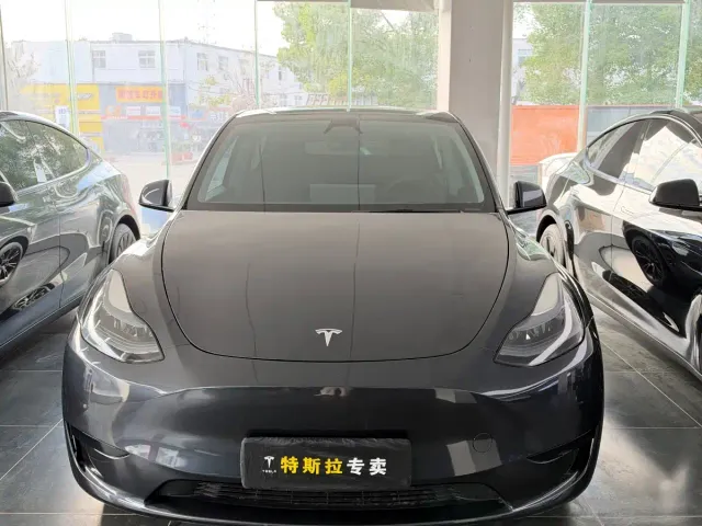 Tesla Model Y — Фото автомобиля 2