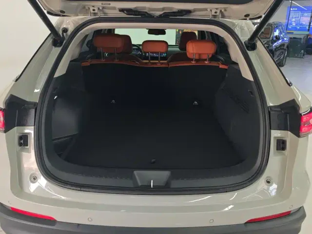 Haval Xiaolong MAX — Фото автомобиля 4