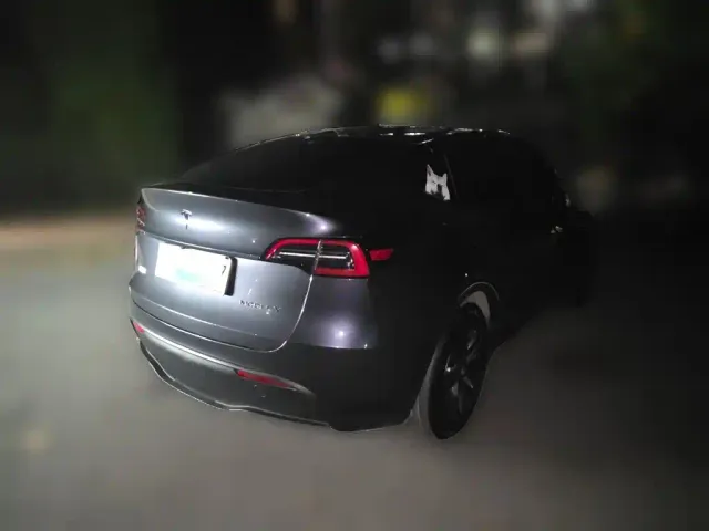 Tesla Model Y — Фото автомобиля 4