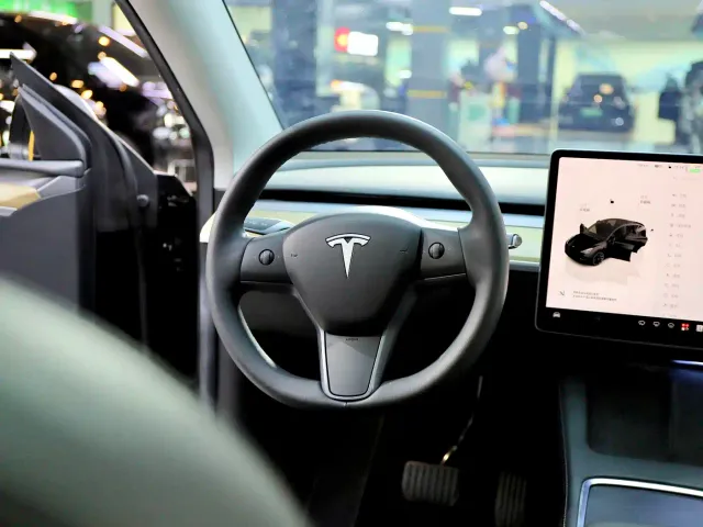 Tesla Model Y — Фото автомобиля 10