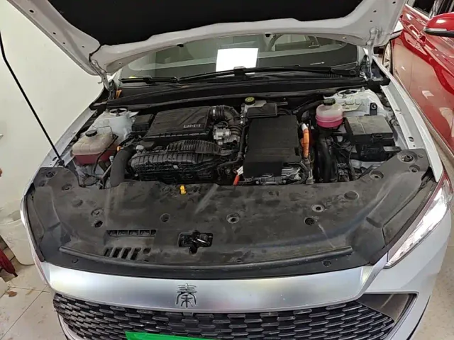 BYD Qin PLUS — Фото автомобиля 19