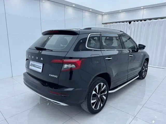 Skoda Karoq — Фото автомобиля 4
