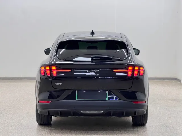 Ford Mustang Mach-E — Фото автомобиля 4