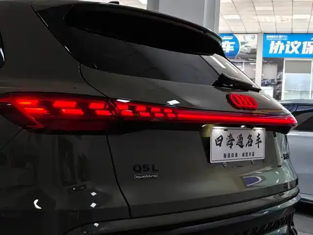 Audi Q5L — Фото автомобиля 13