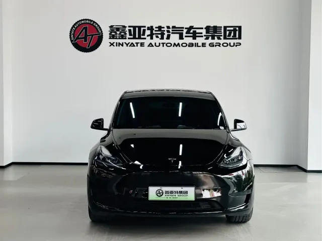 Tesla Model Y — Фото автомобиля 2