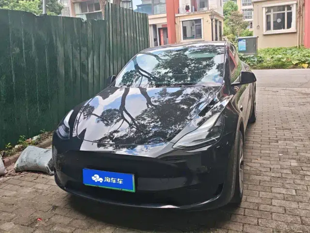 Tesla Model Y — Фото автомобиля 2