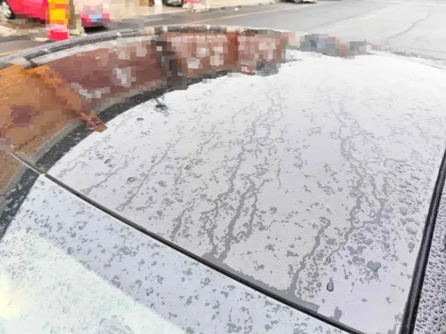 BYD Seal — Фото автомобиля 6