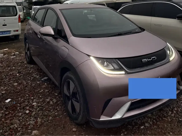 BYD Dolphin — Фото автомобиля 3