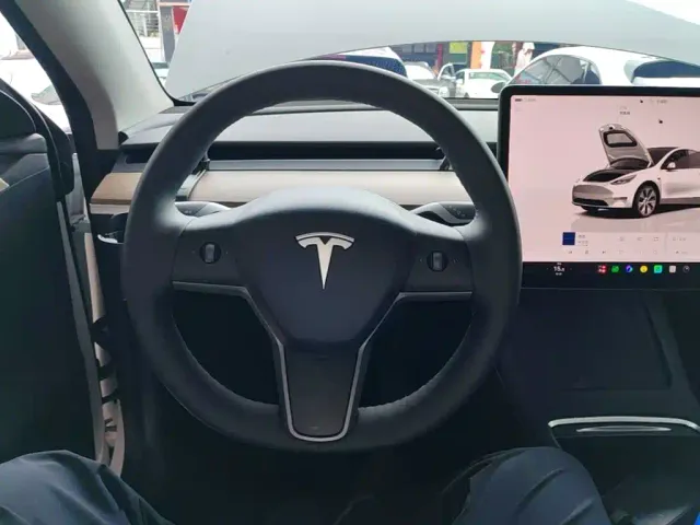 Tesla Model Y — Фото автомобиля 10