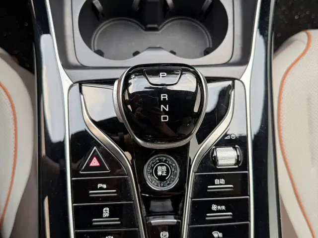 BYD Qin PLUS — Фото автомобиля 13
