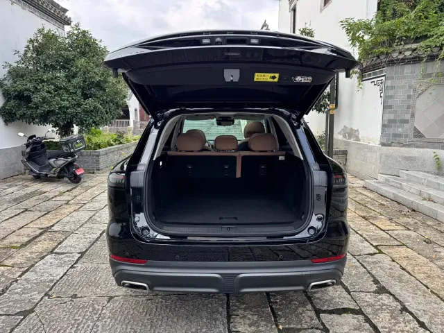 Chery Tiggo 8L — Фото автомобиля 15