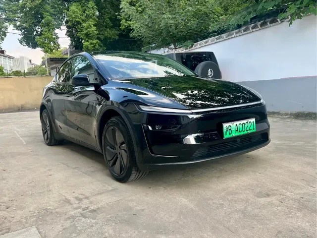 Tesla Model Y — Фото автомобиля 3