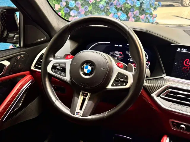 BMW X6 M — Фото автомобиля 12