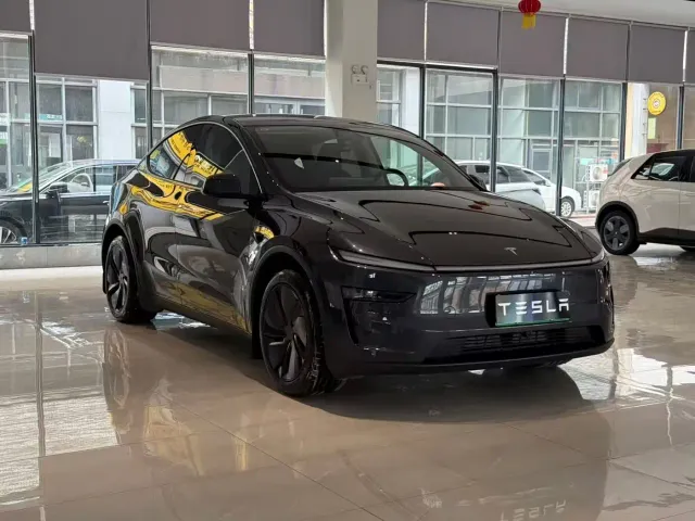 Tesla Model Y — Фото автомобиля 3