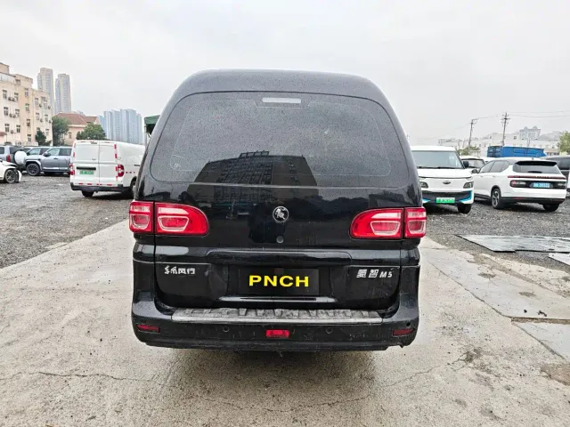Forthing Lingzhi — Фото автомобиля 13