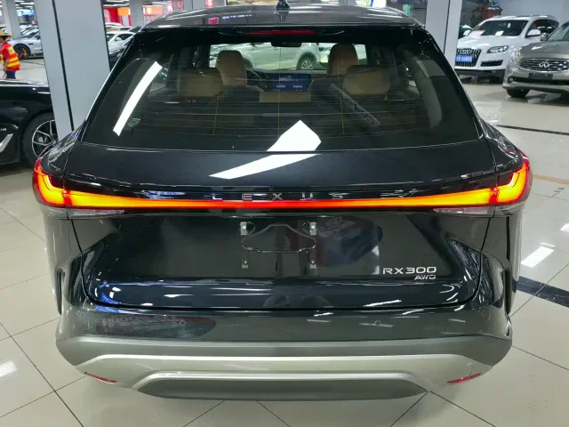 Lexus RX — Фото автомобиля 9