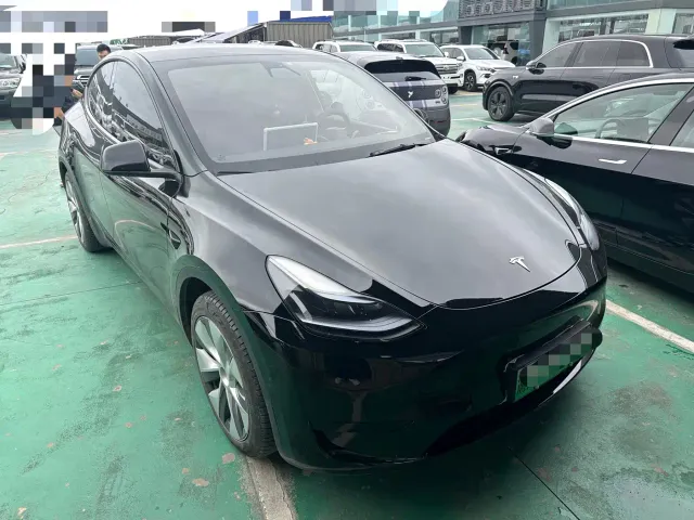 Tesla Model Y — Фото автомобиля 3