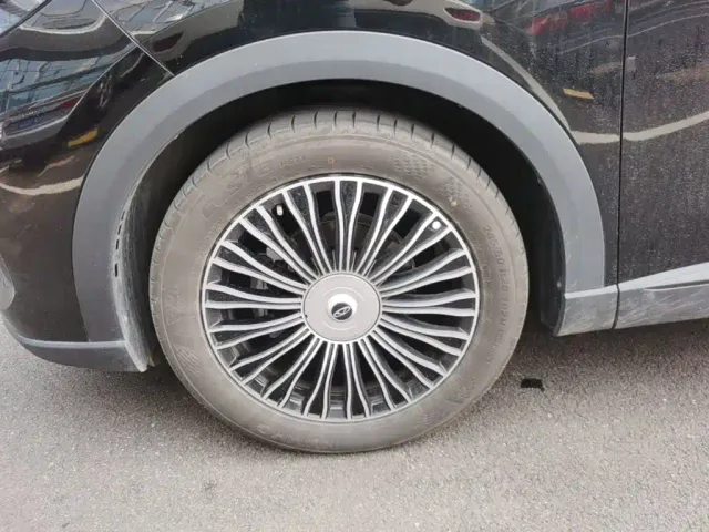 Chery Tiggo 8L — Фото автомобиля 22